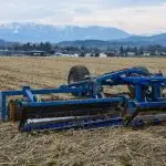 web news spring2