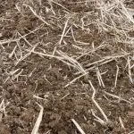 web news spring3