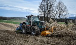 Mulchen von Miscanthus