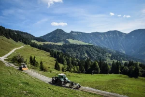 Brechen und Graden